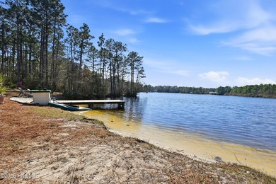 Discover your private waterfront retreat at 1281 Spring Lake Rd! - photo 36