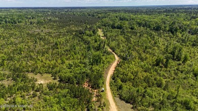Hunting and Recreational retreat - 398+/- Acres in Amite County - photo 36