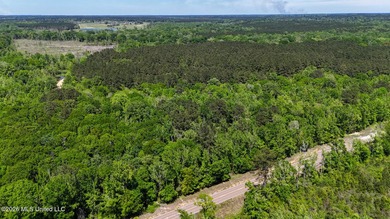 Hunting and Recreational retreat - 398+/- Acres in Amite County - photo 37