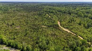 Hunting and Recreational retreat - 398+/- Acres in Amite County - photo 38