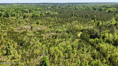 Hunting and Recreational retreat - 398+/- Acres in Amite County - photo 39
