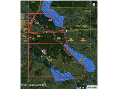 Hunting and Recreational retreat - 398+/- Acres in Amite County - photo 40
