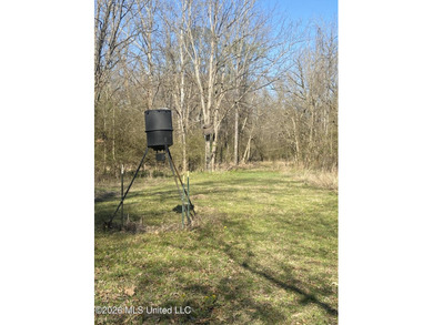 Hunting and Recreational retreat - 398+/- Acres in Amite County - photo 41