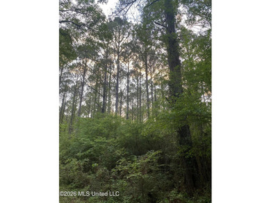 Hunting and Recreational retreat - 398+/- Acres in Amite County - photo 42