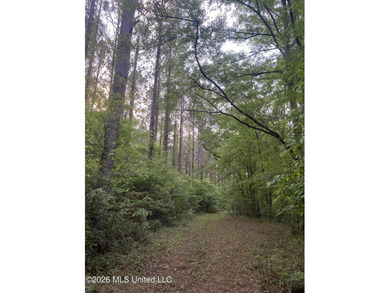 Hunting and Recreational retreat - 398+/- Acres in Amite County - photo 44