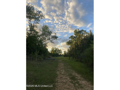 Hunting and Recreational retreat - 398+/- Acres in Amite County - photo 49