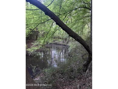 Hunting and Recreational retreat - 398+/- Acres in Amite County - photo 50