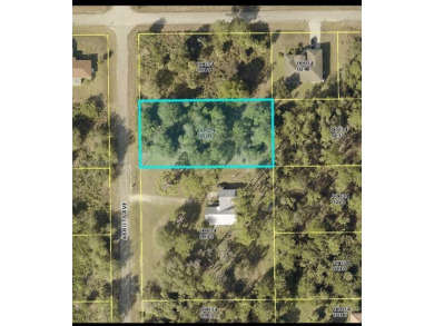 Lehigh Acres Area Lot For Sale in Lehigh Acres Florida