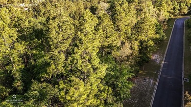 Build your dream home in the beautiful Cumberland Harbour - photo 3
