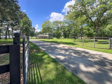 EXTRAORDINARY OPPORTUNITY TO OBTAIN OVER 4 ACRES OF PRIME LEVEL - photo 5