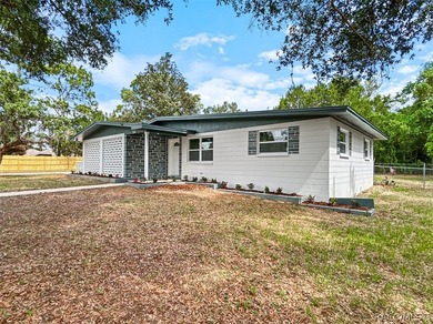 This stunning 3-bedroom, 2-bathroom home has been completely - photo 21