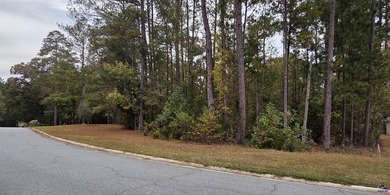 *~ Create Your Ideal Home in a Premier Golf Course Community ~ - photo 2
