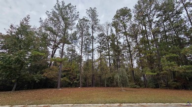 *~ Create Your Ideal Home in a Premier Golf Course Community ~ - photo 3
