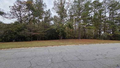 *~ Create Your Ideal Home in a Premier Golf Course Community ~ - photo 4