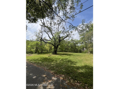 Build your dream home on this spacious 0.5-acre residential lot - photo 11