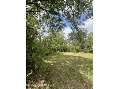 Build your dream home on this spacious 0.5-acre residential lot - photo 14