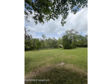 Build your dream home on this spacious 0.5-acre residential lot - photo 15