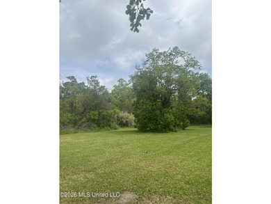Build your dream home on this spacious 0.5-acre residential lot - photo 16