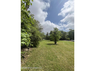 Build your dream home on this spacious 0.5-acre residential lot - photo 18