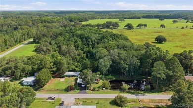 This one is it! Close to town, but still country style living - photo 23