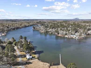 Welcome to this beautiful lake-view home in the desirable Norris - photo 30