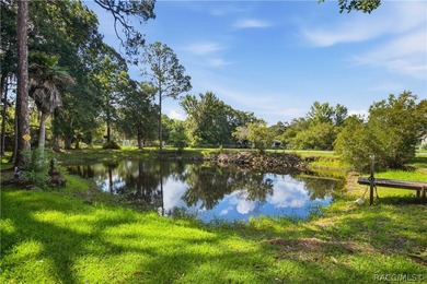 This one is it! Close to town, but still country style living - photo 33