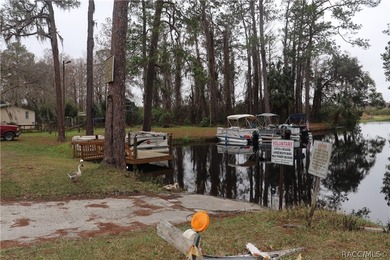 This one is it! Close to town, but still country style living - photo 36