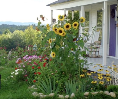 NOW OFFERING: This house comes with a REDUCED RATE as low as 5 - photo 5