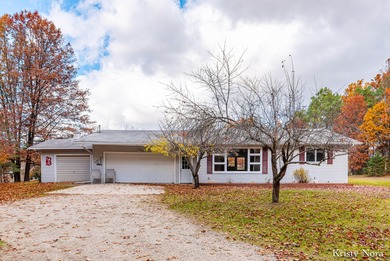 Lake Home For Sale in Gowen, Michigan