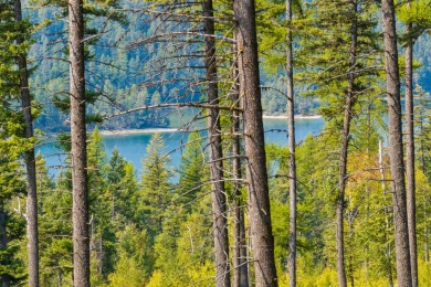 Lake Acreage ActiveUnderContr in Bigfork, Montana