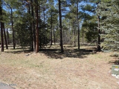 Lake Lot For Sale in Lakeside, Arizona
