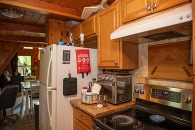 Motivated Sellers - Adirondack Home for Sale Near Whiteface & - photo 17