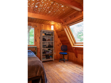 Motivated Sellers - Adirondack Home for Sale Near Whiteface & - photo 23
