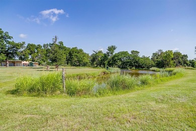 Tin Top River Ranch offers a rare combination of recreational - photo 23