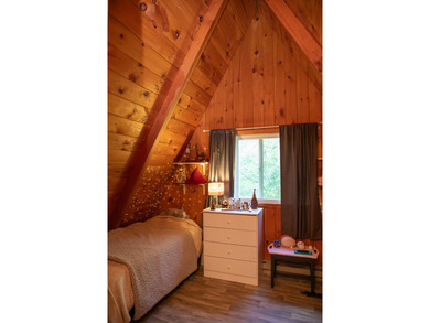 Motivated Sellers - Adirondack Home for Sale Near Whiteface & - photo 32