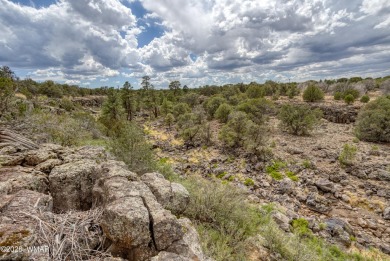 Lake Lot For Sale in Show Low, Arizona