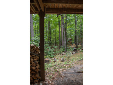 Motivated Sellers - Adirondack Home for Sale Near Whiteface & - photo 47