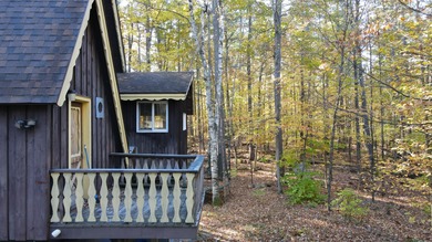 Motivated Sellers - Adirondack Home for Sale Near Whiteface & - photo 48