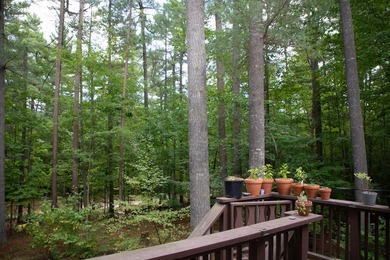 Motivated Sellers - Adirondack Home for Sale Near Whiteface & - photo 49