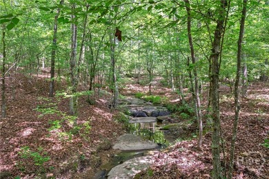 (private lake, pond, coastal) Acreage For Sale in Carlton Georgia