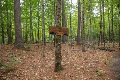 Motivated Sellers - Adirondack Home for Sale Near Whiteface & - photo 53