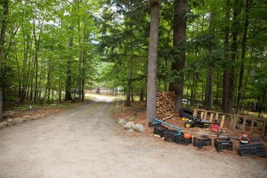 Motivated Sellers - Adirondack Home for Sale Near Whiteface & - photo 54