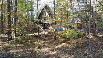 Motivated Sellers - Adirondack Home for Sale Near Whiteface & - photo 59