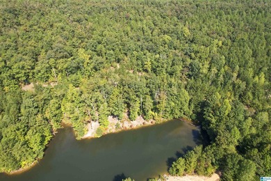 YOU CAN ENJOY THE MOUNTAIN VIEW FROM THE FOOTHILLS OF OAK MTN - photo 5