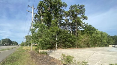 Prime commercial opportunity in a premier Pawleys Island - photo 11