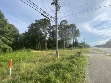Prime commercial opportunity in a premier Pawleys Island - photo 12
