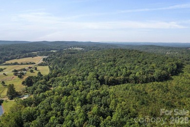 Discover a rare opportunity with this expansive 80+/- acre - photo 13