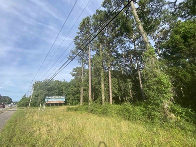 Prime commercial opportunity in a premier Pawleys Island - photo 14