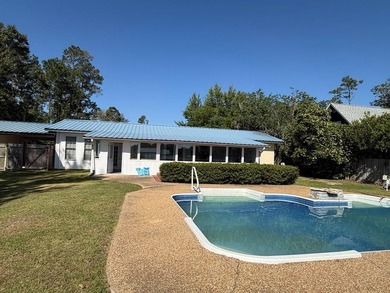 Experience the best of lake living in this beautiful, renovated - photo 19