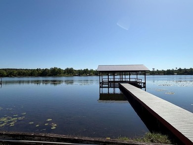 Experience the best of lake living in this beautiful, renovated - photo 22